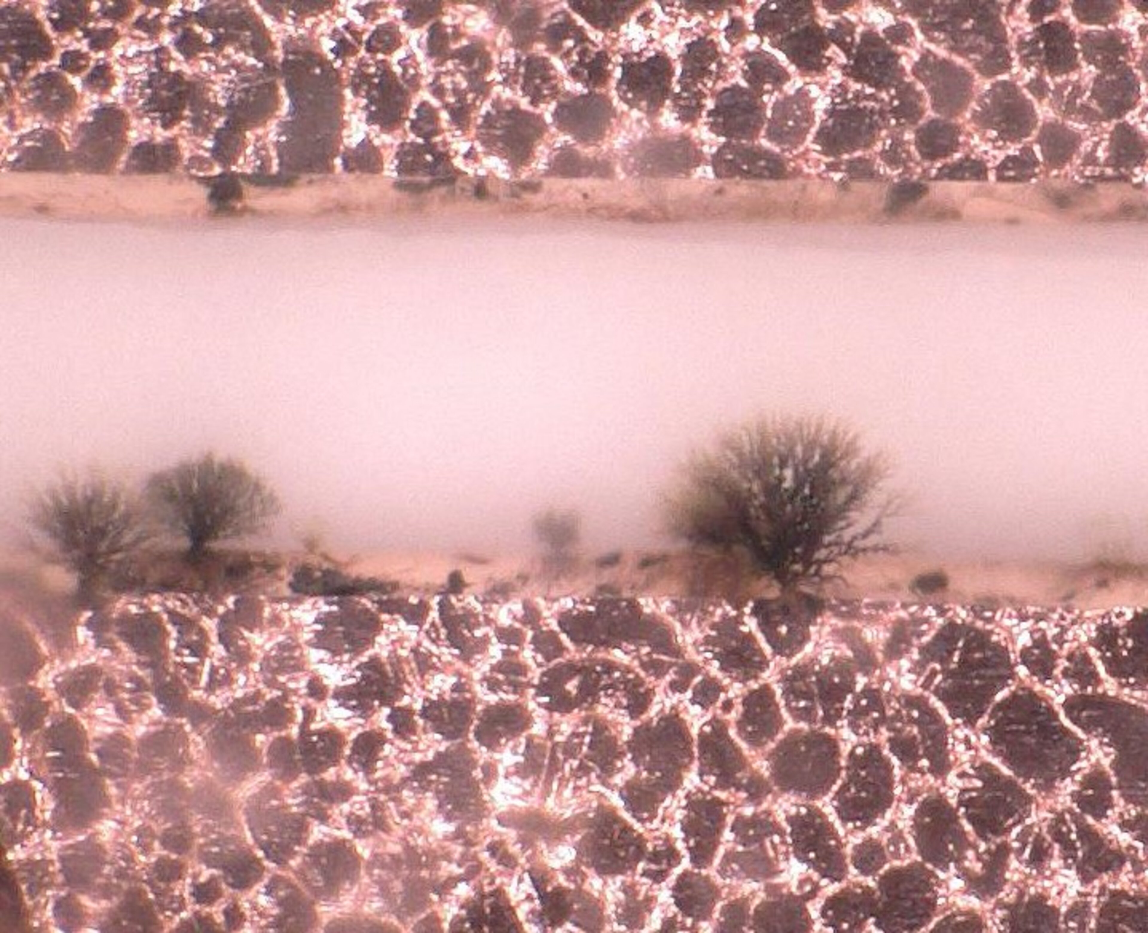 Electrochemical Migration: Causes, Effects & Solutions - ZESTRON