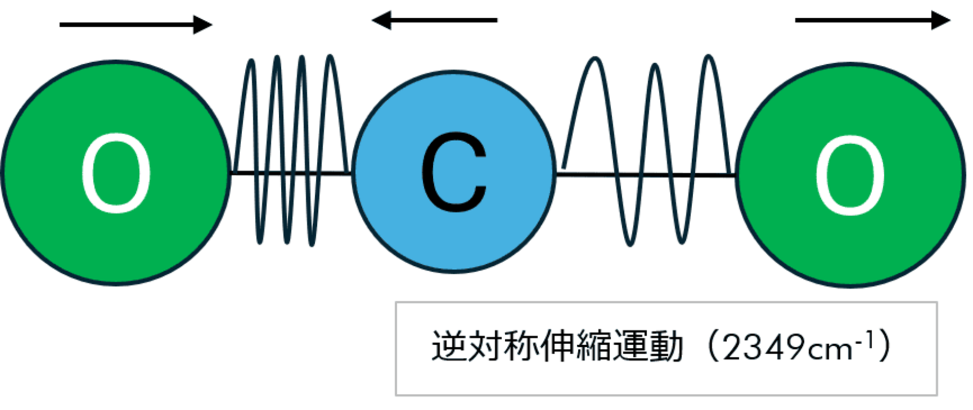 分子中の結合（C-H、C=O、O-Hなど）はバネのように振動