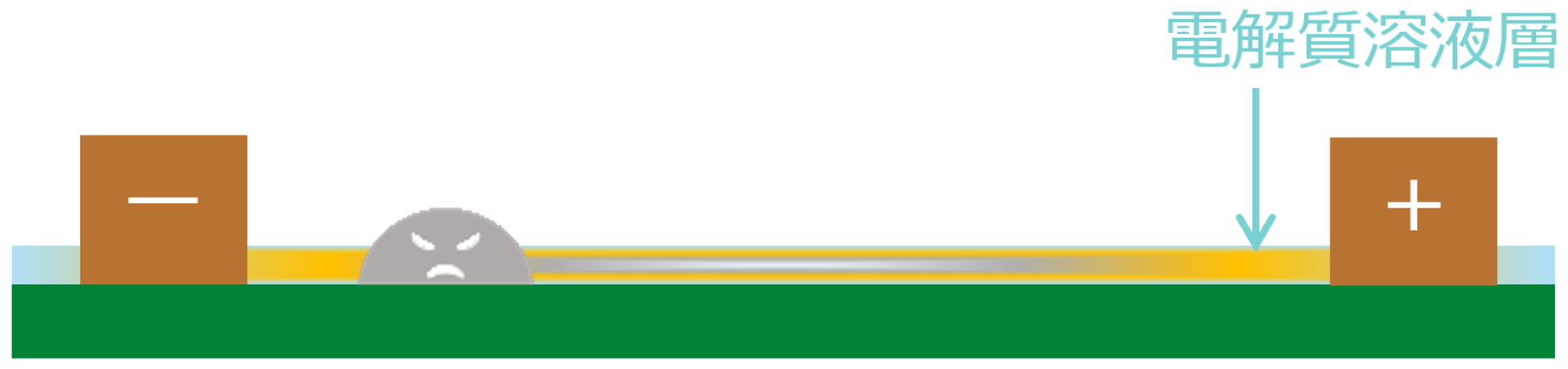 不純物として残存する電解質が水に溶けることで、イオンが自由に動き回れる電解質溶液層が形成