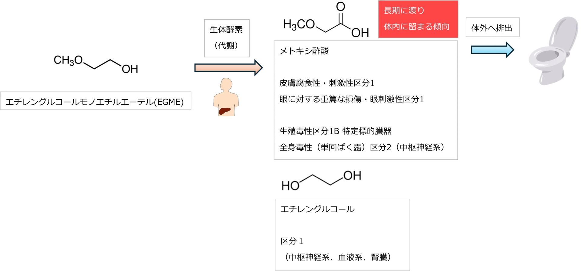 洗浄剤の法令遵守と安全対応 - ZESTRON