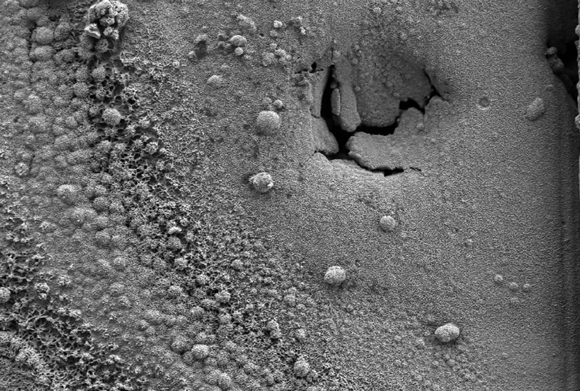 Training Korrosion in der Leistungselektronik Zestron Academy